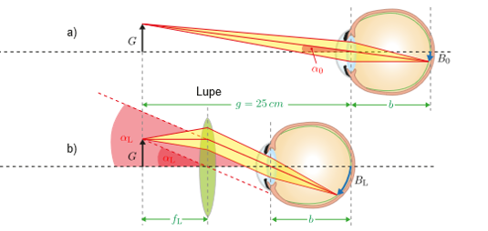 ././Physikkurs/geometrischeoptik_linsenabbildungen/images/Lupe.png