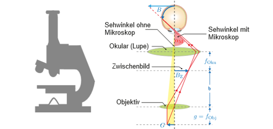 ././Physikkurs/geometrischeoptik_linsenabbildungen/images/Mikroskop.png